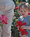 In the rose garden